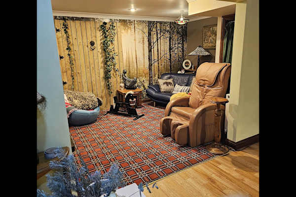 House sit in Pocklington, United Kingdom