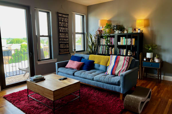 House sit in Washington, D.C., Washington, D.C., US