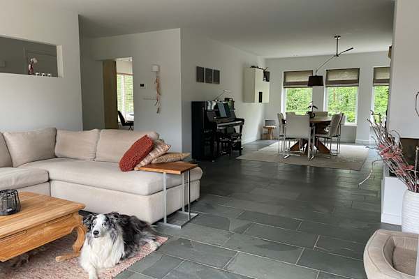 House sit in Eindhoven, Netherlands
