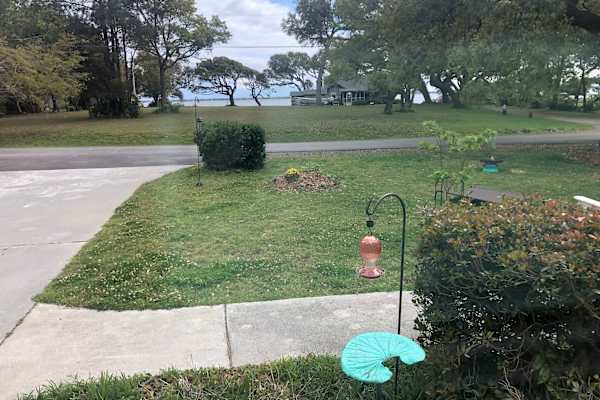 House sit in Morehead City, NC, US