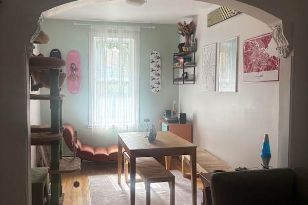 House sit in Montréal, QC, Canada