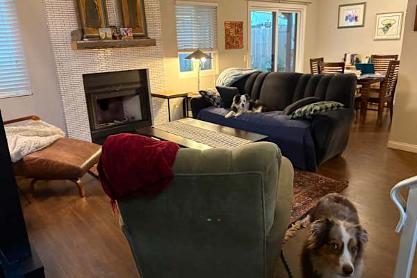 House sit in Ventura, CA, US