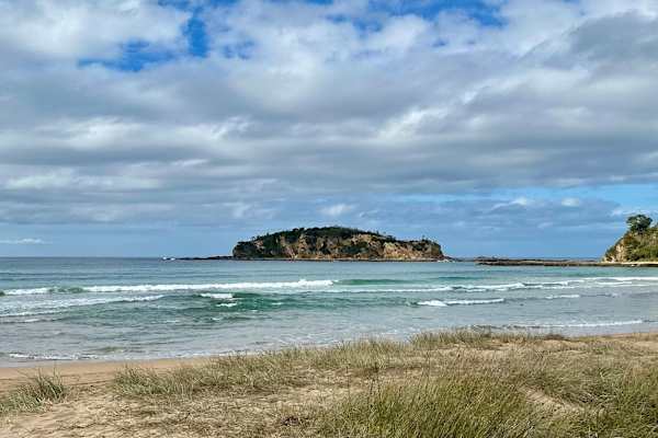 House sit in Batemans Bay, NSW, Australia