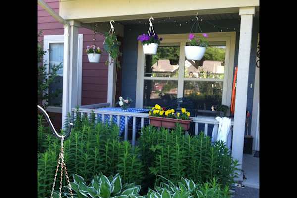 House sit in Madison, WI, US