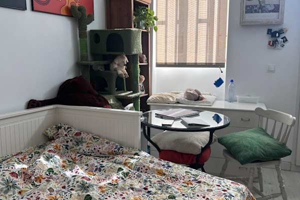House sit in Madrid, Spain