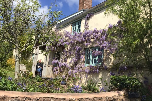House sit in Taunton, United Kingdom