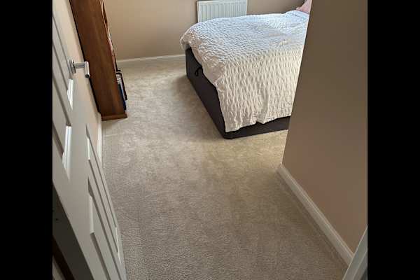 House sit in Winchester, United Kingdom