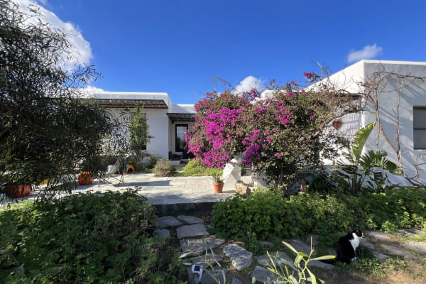 House sit in Naoussa, Greece