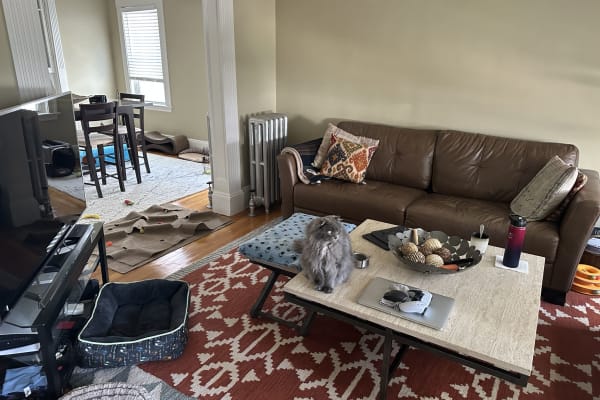 House sit in Somerville, MA, US