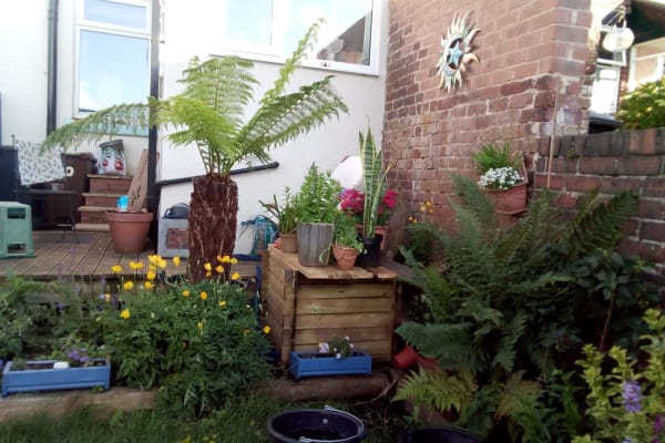 House sit in Sheffield, United Kingdom