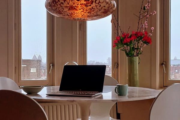 House sit in Amsterdam, Netherlands