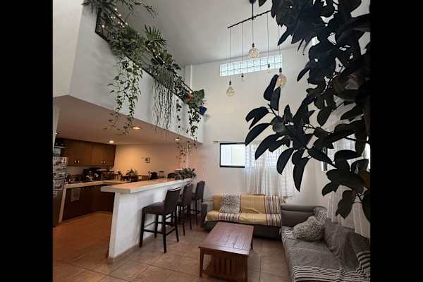 House sit in San José del Cabo, Mexico