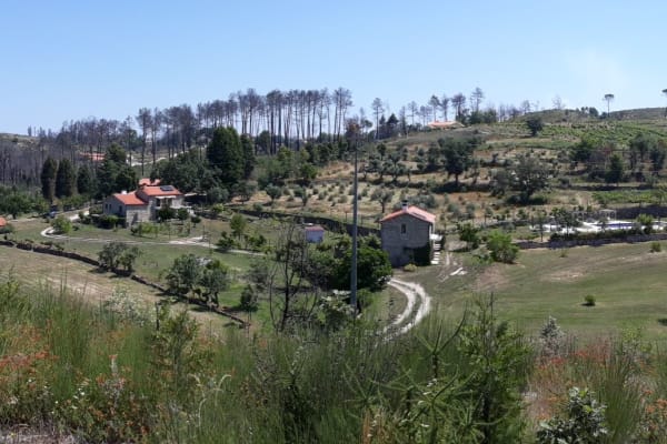 House sit in Oliveira do Hospital, Portugal