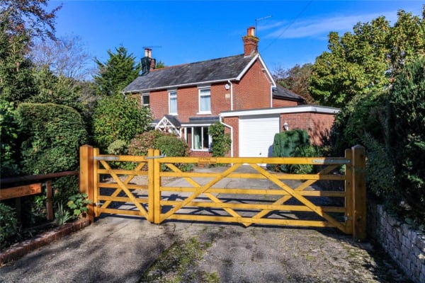 House sit in Christchurch, United Kingdom