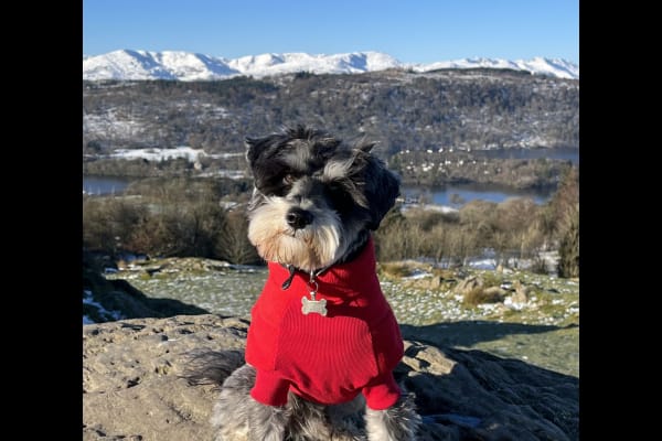 House sit in Crosthwaite, United Kingdom