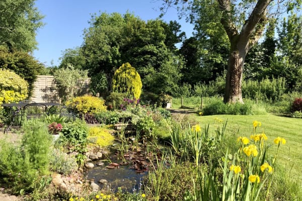 House sit in Overton, United Kingdom