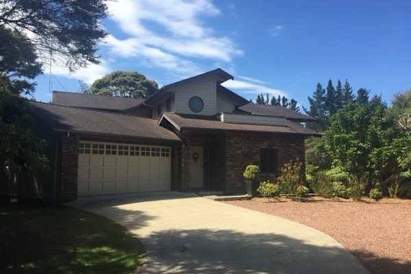 House sit in Titirangi North, New Zealand