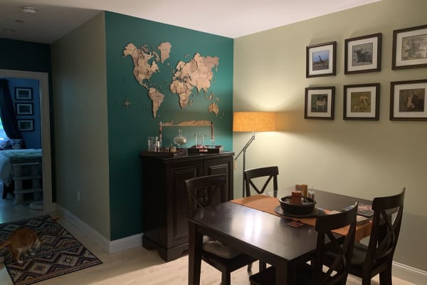 House sit in Brookline, MA, US