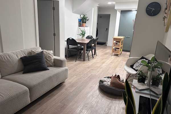 House sit in Vancouver, BC, Canada