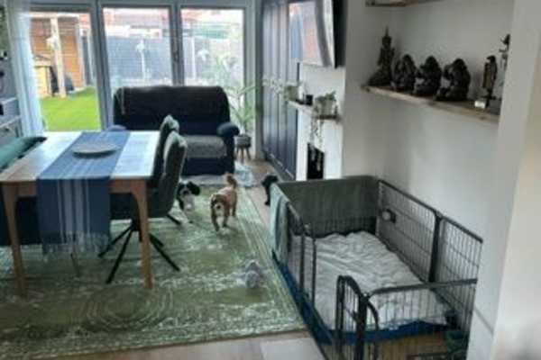 House sit in Sawtry, United Kingdom