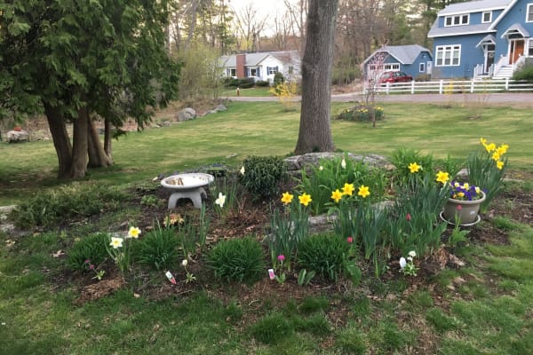 House sit in Bedford, MA, US