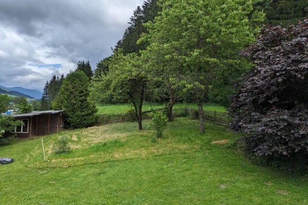 House sit in Mürzzuschlag, Austria