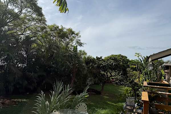 House sit in Makawao, HI, US