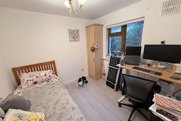 House sit in Leixlip, Ireland