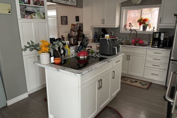 House sit in Kingston, ON, Canada