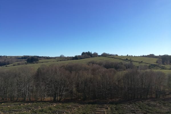 House sit in Peyrelevade, France