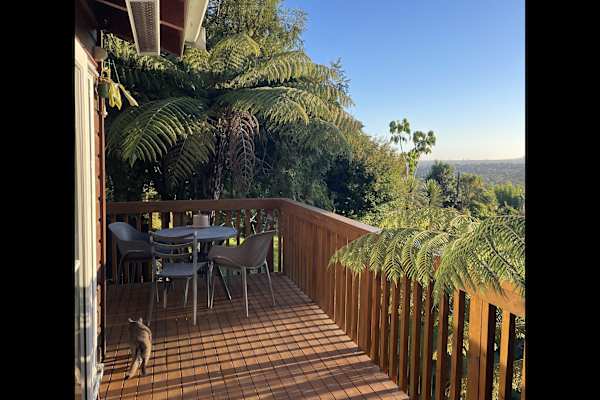 House sit in Auckland, New Zealand