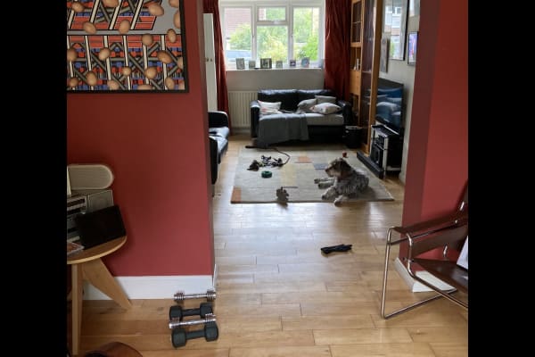House sit in Teddington, United Kingdom