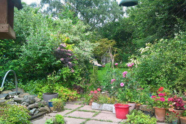 House sit in Eardisley, United Kingdom