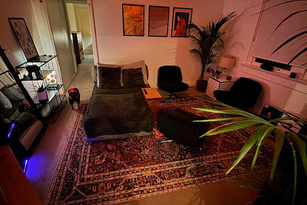 House sit in Sydney, NSW, Australia