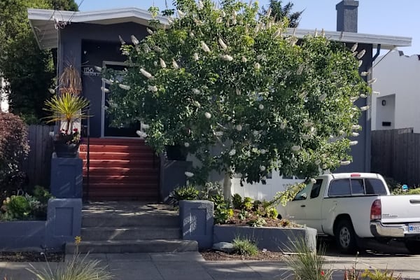 House sit in Berkeley, CA, US