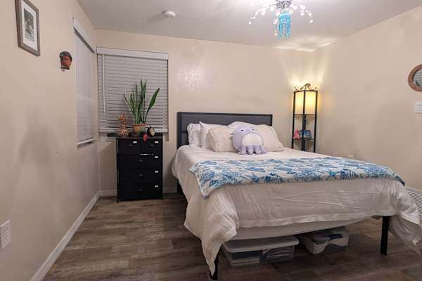 House sit in Orlando, FL, US