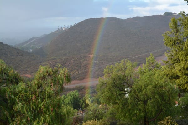 House sit in Vista, CA, US