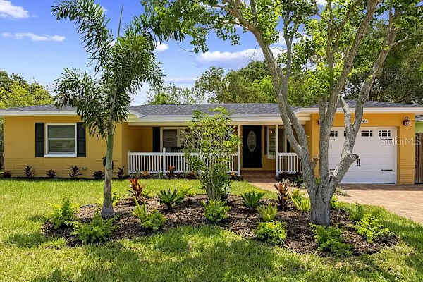 House sit in Dunedin, FL, US