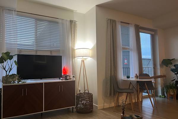 House sit in Kenmore, WA, US