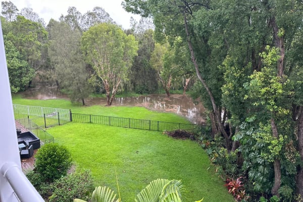 House sit in Gold Coast, QLD, Australia