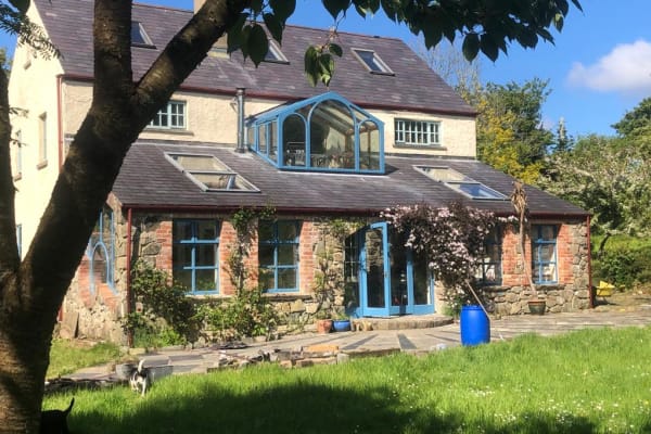 House sit in Letterkenny, Ireland