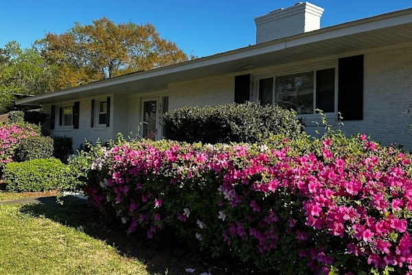 House sit in Charleston, SC, US