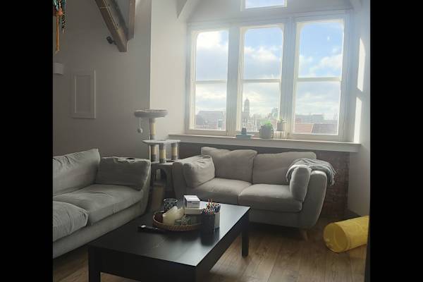 House sit in Manchester, United Kingdom