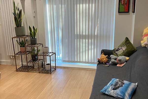 House sit in Hove, United Kingdom