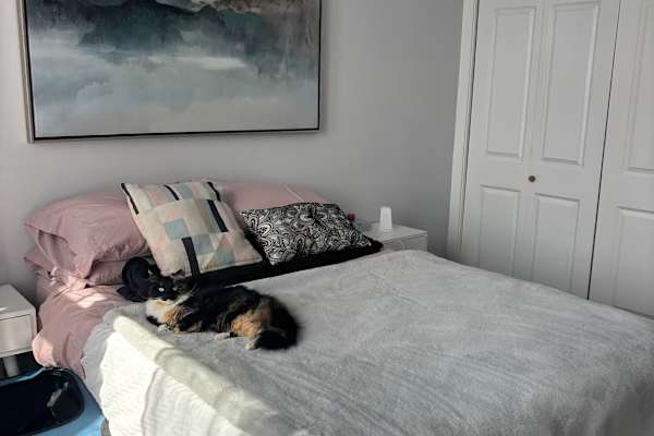 House sit in Squamish, BC, Canada