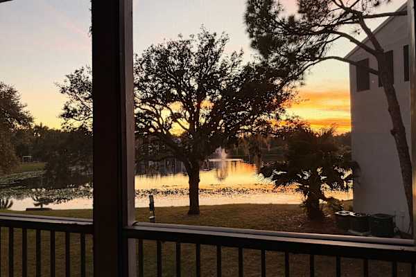 House sit in Clearwater, FL, US