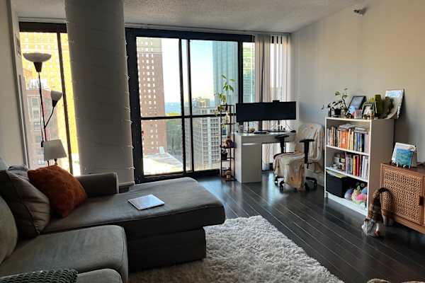House sit in Chicago, IL, US