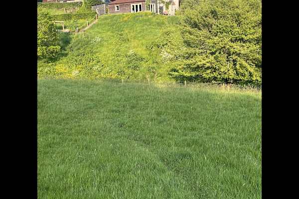 House sit in Shaftesbury, United Kingdom