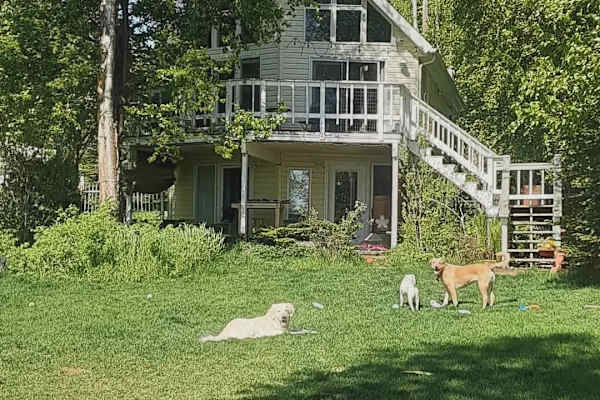 House sit in Meadow Lakes, AK, US