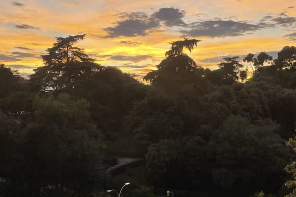 House sit in Madrid, Spain